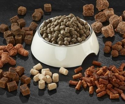 What's On 24 What's On 23