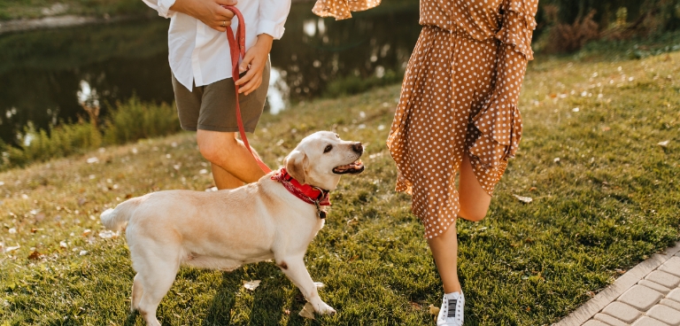 Paws for a Break 4 Paws for a Break 3