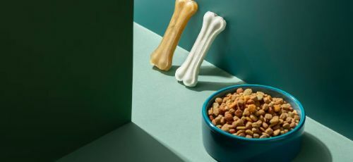 Sustainability 10 pet food in a bowl