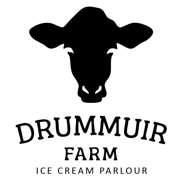 Brand Directory 30 Brand Directory 29