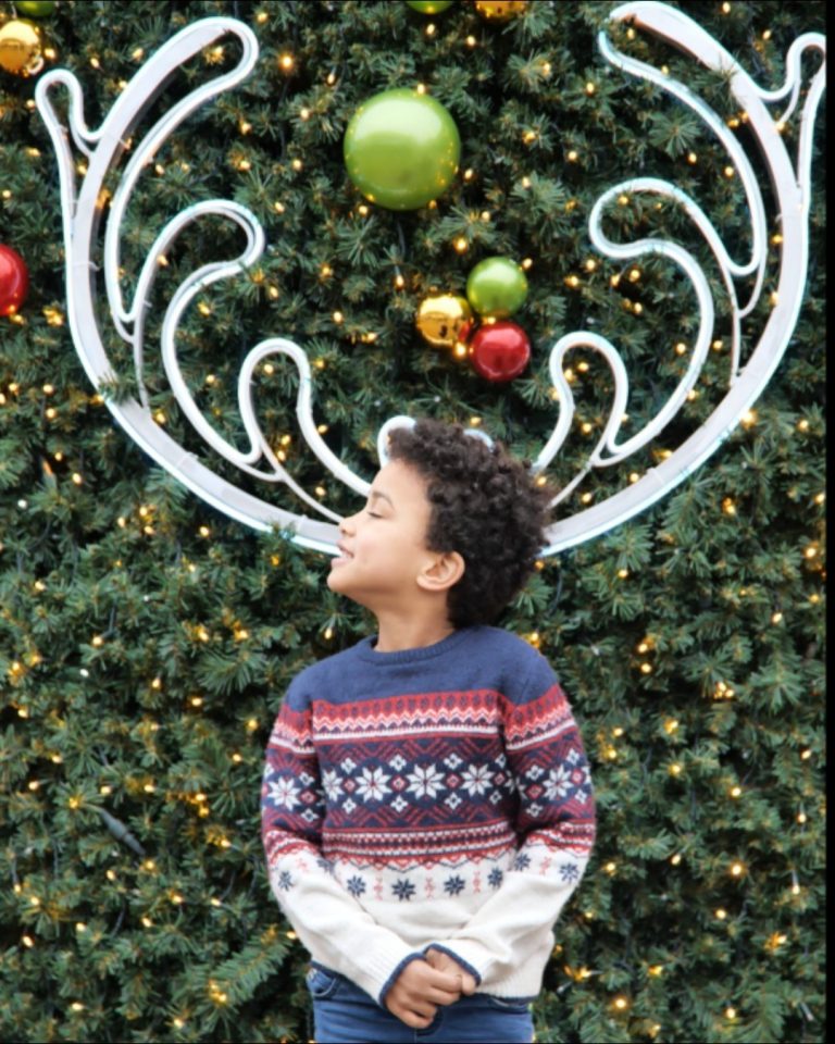 Santa's Magical Christmas Grotto Returns This Year! 34 Santa's Magical Christmas Grotto Returns This Year! 33